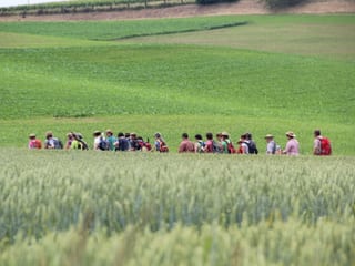 Wanderer durchstreifen im Gänsemarsch ein Kornfeld.