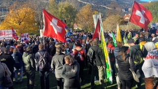 Zu sehen Demonstrierende in Chur.