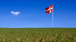 Dänische Fahne hinter Acker.