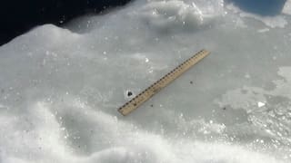 Steinchen mit Massstab auf Eis Steinchen mit Massstab auf Eis