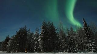 Grünlich bis lila Polarlicht über Lappland.
