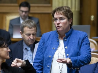 Frau im Nationalratssaal.