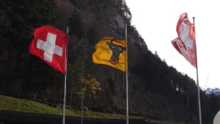 Fahnen im Sturm wegen von rechts nach links. 