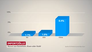 Importzölle Importzölle