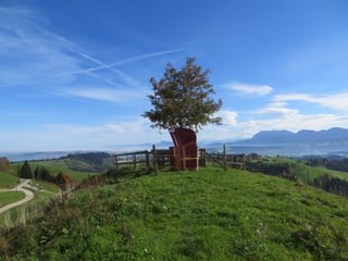Strankorb an schöner Schweizer Aussicht.