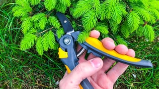 Gartenscheren im Test: Müheloses Schneiden gibt’s für wenig Geld  (Artikel enthält Video)