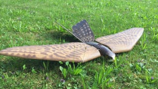 Vogel-Drohne am Boden. Vogel-Drohne am Boden.