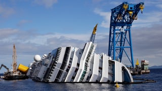 Ein Kreuzfahrtschiff liegt im Meer. 