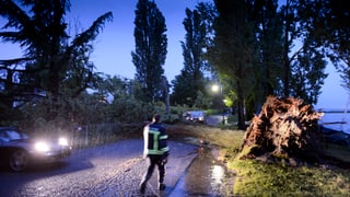 Eine entwurzelte Pappel blockiert eine Strasse bei Préverenges im Kanton Waadt. Eine entwurzelte Pappel blockiert eine Strasse bei Préverenges im Kanton Waadt.
