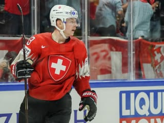 Joël Vermin