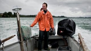 Berufsfischer Reto Leuch fährt im Sommer 2011 mit seinem geringen Egli Fang wieder Richtung Anlegestelle.