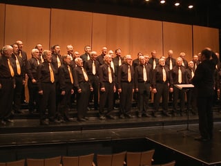 Die Sänger mit braunen Hemden und Hosen sowie gelben Krawatten als Chor auf der Bühne.