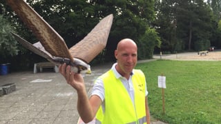 Mann mit gelber Weste und Vogel-Drohne in der Hand. Mann mit gelber Weste und Vogel-Drohne in der Hand.