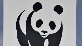 WWF Schweiz Logo.