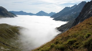 Blick uf Parkgebiet