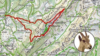 Kartenausschnitt mit roter Route drin
