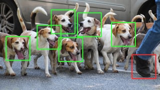 Ein Rudel Hunde, um deren Gesichter ein grünes Viereck gezeichnet ist, mit dem das maschinelle Lernen des Computers gezeigt werden soll.