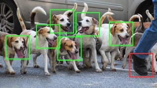 Ein Rudel Hunde, um deren Gesichter ein grünes Viereck gezeichnet ist, mit dem das maschinelle Lernen des Computers gezeigt werden soll. Ein Rudel Hunde, um deren Gesichter ein grünes Viereck gezeichnet ist, mit dem das maschinelle Lernen des Computers gezeigt werden soll.