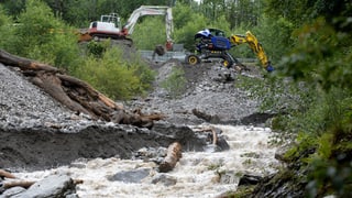 Bagger räumen eine Strasse.