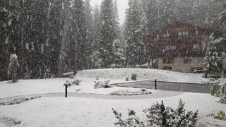 Am 13. und 14. Juli schneite es in Arosa. Am 13. und 14. Juli schneite es in Arosa.