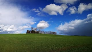 Verschiedene Wolken am Himmel, dazwischen klares blau, unten eine grüne Wiese und eine Baumgruppe.