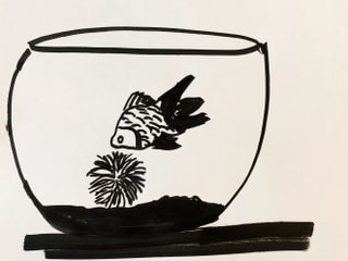 Zeichnung eines Goldfisches und einer Marimo-Alge