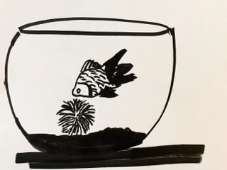 Zeichnung eines Goldfisches und einer Marimo-Alge Zeichnung eines Goldfisches und einer Marimo-Alge
