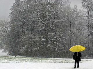 Mann mit gelbem Schirm überquert ein frisch verschneite Wiese.