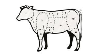 Eine nummerierte Kuh 
