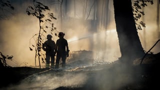 Zwei Feuerwehrmänner löschen im Wald, dort herrscht dicker Rauch.