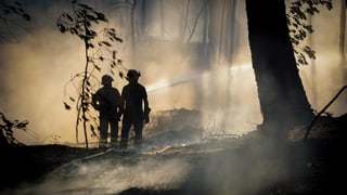 Zwei Feuerwehrmänner löschen im Wald, dort herrscht dicker Rauch. Zwei Feuerwehrmänner löschen im Wald, dort herrscht dicker Rauch.