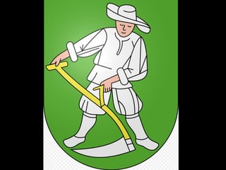 Wappen von Madiswil