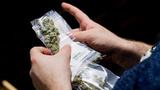 Cannabis in einem Plastikbeutel. Cannabis in einem Plastikbeutel.