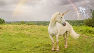 Ein Einhorn steht unter einem Regenbogen.