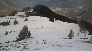 Webcam Brambrüsch