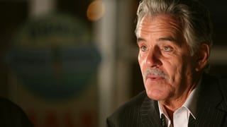Dennis Farina 