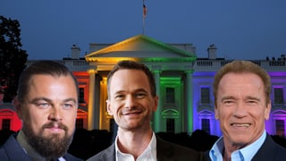 Porträt von Leonardo DiCaprio, Neil Patrick Harris und Arnold Schwarzenegger. Im Hintergrund Weisses Haus in Regenbogenfarben.