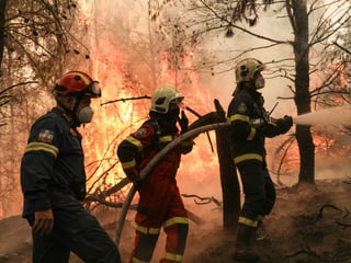 Zwei griechische Feurwehrmänner und ein slowakischer Feuerwehrmann löschen ein Feuer beim Dorf  Avgaria auf Euböa.