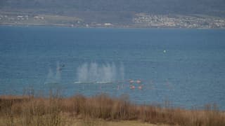 Schüsse in den See Schüsse in den See