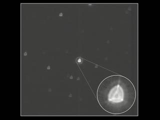 Das ist das erste Bild, das Cheops nach dem Öffnen der Abdeckung aufgenommen hat. Der Stern im Zentrum des Bildes befindet sich 150 Lichtjahre von uns entfernt im Sternbild Krebs. 