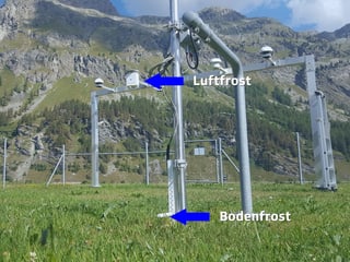Eine Wetterstation mit verschiedenen Sensoren. Eine Wetterstation mit verschiedenen Sensoren.