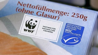 MSC – Label für nachhaltige Fischerei