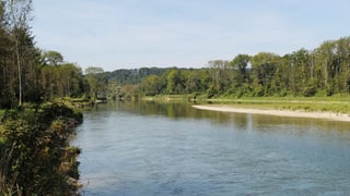 Bei Flaach mündet die Thur in den Rhein.