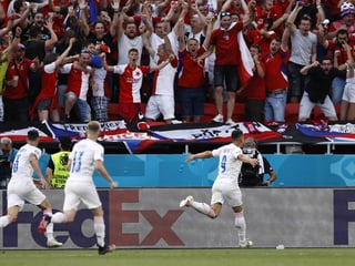 Tomas Holes bejubelt das 1:0 gegen die Niederlande. Tomas Holes bejubelt das 1:0 gegen die Niederlande.