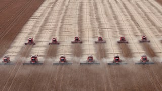 Soja-Gewinn im grossen Stil: Ernte in Mato Grosso, Brasilien