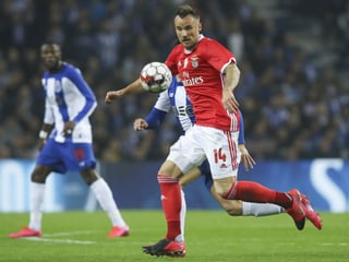 Seferovic Seferovic
