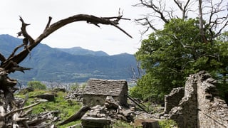 verlassenes Haus, Ruine verlassenes Haus, Ruine