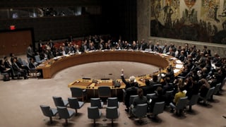 Sicherheitsrat mit rundem Tisch.