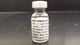 Ampulle mit dem Impfstoff VSV-ZEBOV