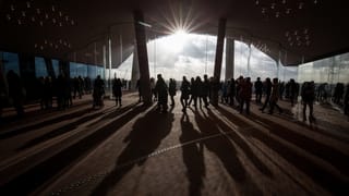 Silhouetten von Menschen vor einem Sonnenuntergang. Silhouetten von Menschen vor einem Sonnenuntergang.